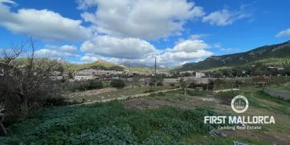 Country estate for renovation between the village and the port of Andratx — photo 8
