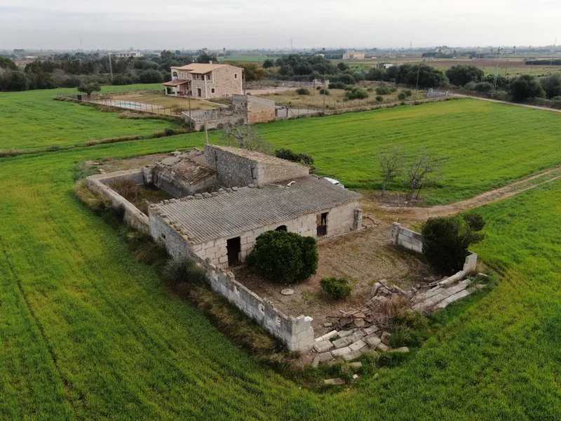 Land in Sa Pobla, Mallorca — photo 1