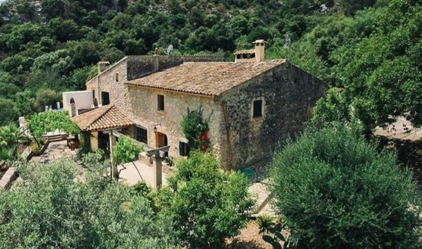 Charming Mediterranean-style finca, with a holiday rental license, in Pollensa — photo 3