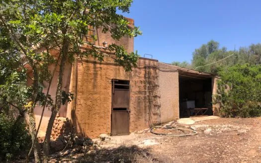 Rustic Finca in Campos — photo 10