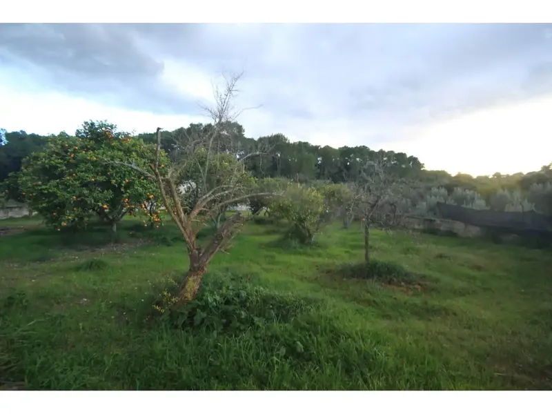 Country house with land — photo 9