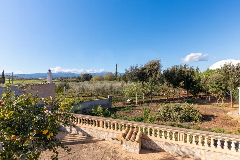 Rustic finca with pool, views and own olive oil production in Santa Eugènia — photo 10