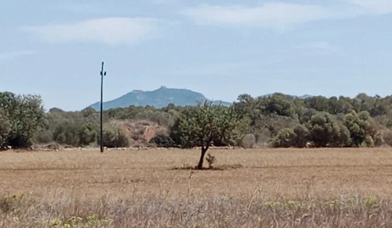 Country Land near Campos — photo 4