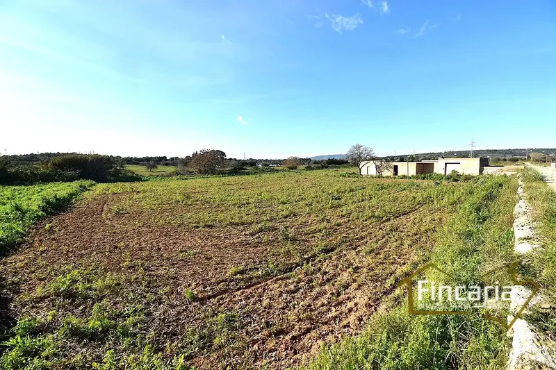Sensational agricultural warehouse in perfect condition located in the Son Llunes area, 2.5 km from Manacor. Warehouse of 85 m — photo 2
