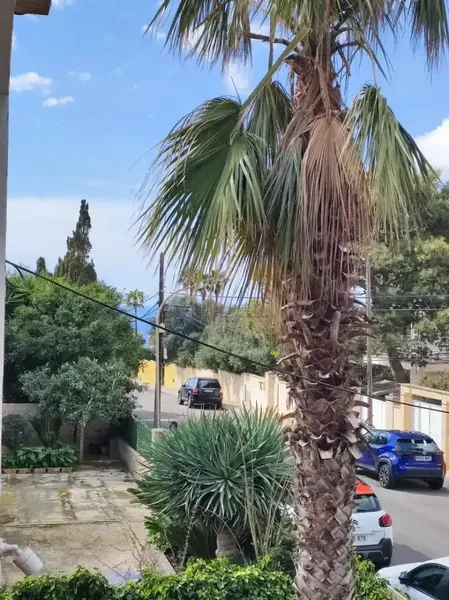 Planta baja independiente a estrenar con jardín y porche – Badia Grande — photo 11