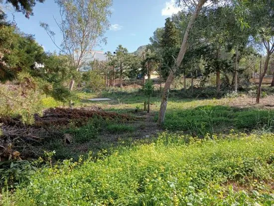 Fantastic plot in Bonaire of 953 m2, facing three streets — photo 4