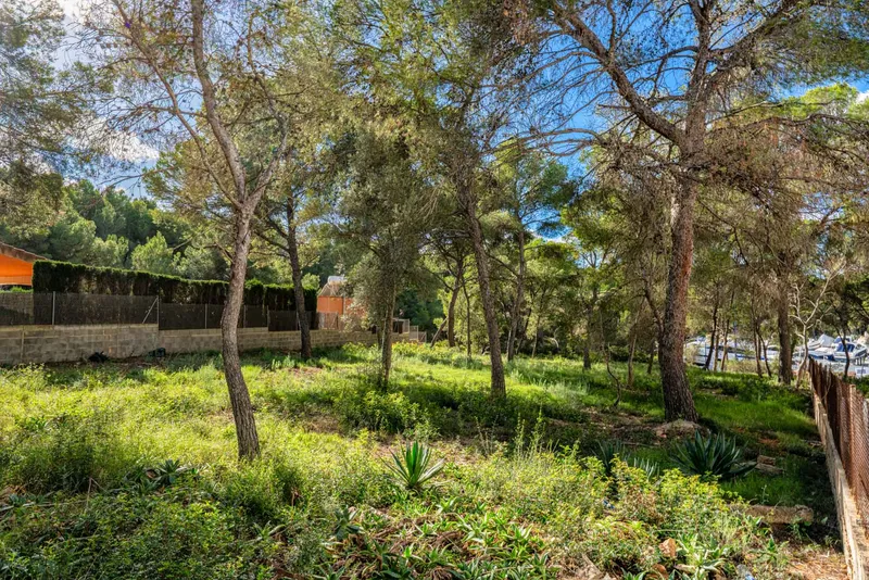 Building plot near the harbour in Santa Ponsa — photo 3