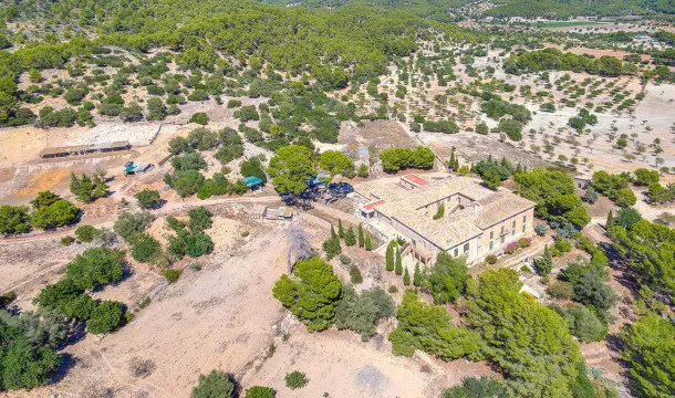 Ideal finca to be converted in a hotel in Calvia — photo 3