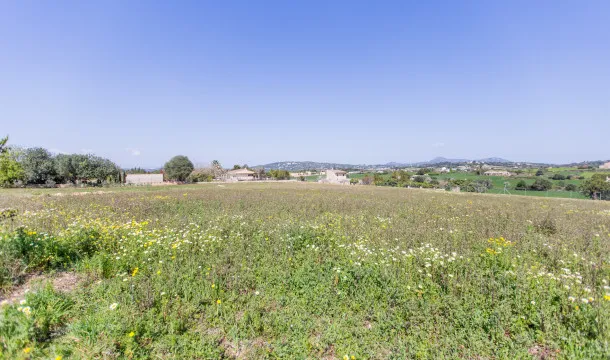 Building plot with license and fantastic views in Manacor — photo 6