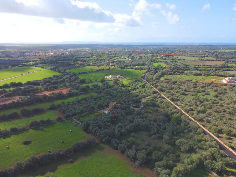 Buildable plot in Ses Salines, Mallorca — photo 9