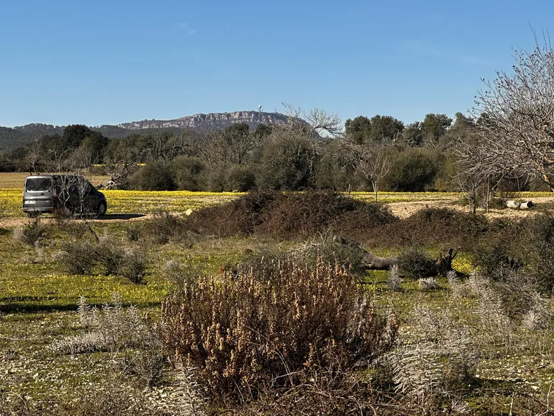 Building plot with project in a fantastic location — photo 2