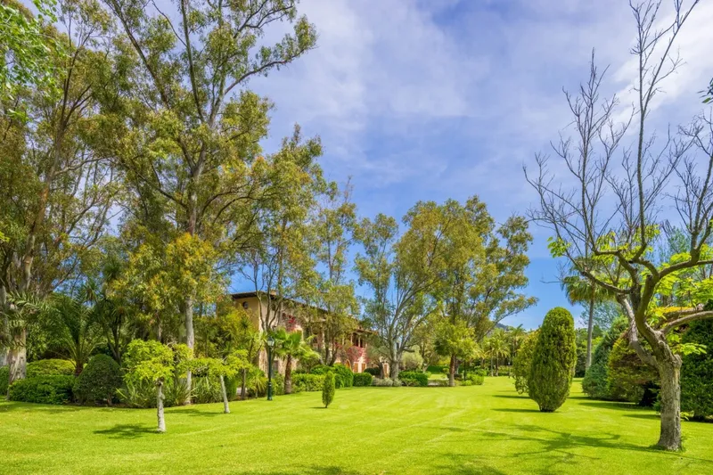 Country estate for sale in Pollensa — photo 9