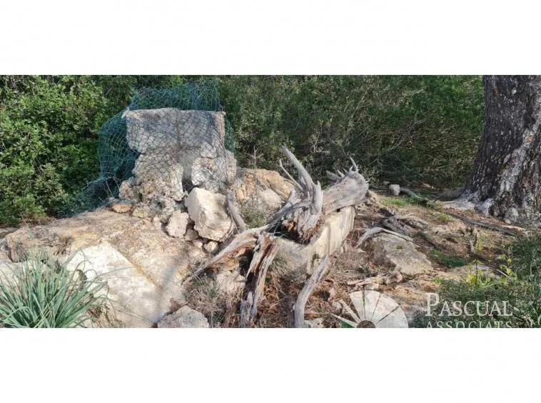 Finca with project for sale in Santa Margalida — photo 7