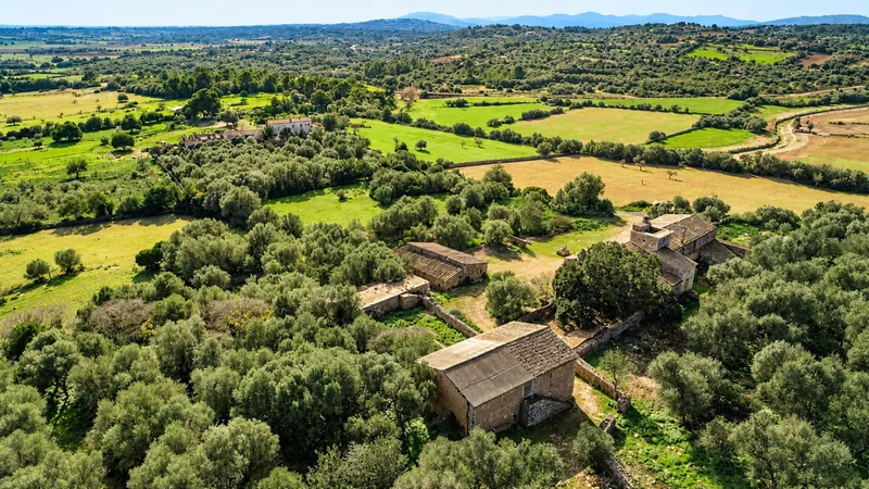 Commercial in Sant Llorenç des Cardassar — photo 5