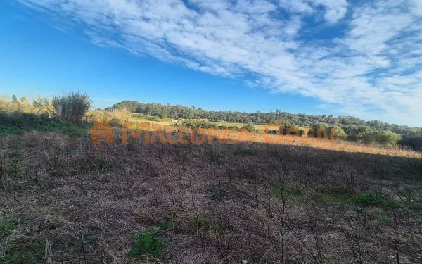 Rustic plot for sale – Municipality of Petra — photo 2