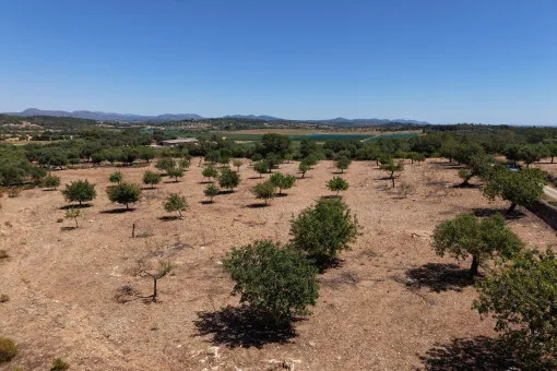 Cala Mandia, great building plot with recently granted building permit near Cala Mandia — photo 4