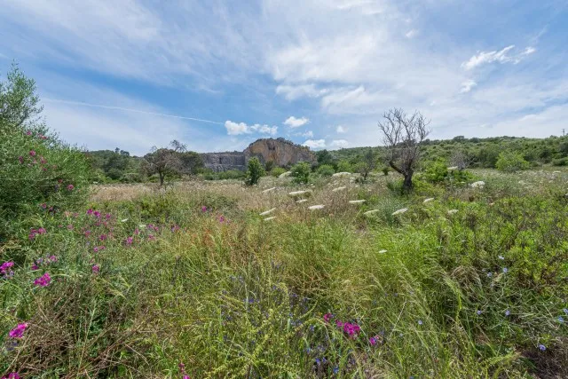 Prime plot with sea views and licensed project for sale in Alcudia, North Mallorca — photo 7