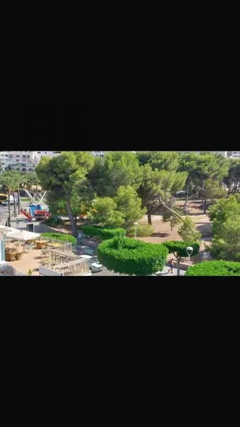 Apartment in Calvià (Santa Ponça) with 44 m² built surface, 7 m² terrace, 1 room, 1 bathroom, 100 m to the sea, lift — photo 11