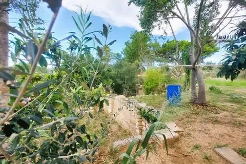 Cortijo in Muro, Mallorca — photo 12