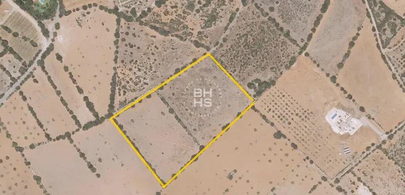 Country plot for sale in Ses Salines — photo 2