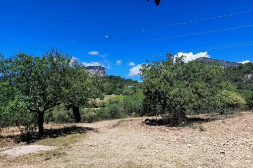Alaró, finca project in a stunning hill landscape with mountain views near Alaró — photo 2