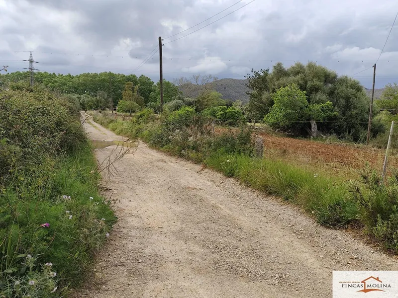 Rural Land - Capdepera (Canyamel) — photo 1