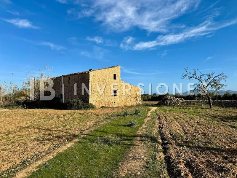 Rural or Farmhouse in Felanitx, Province of Balearic Islands — photo 7