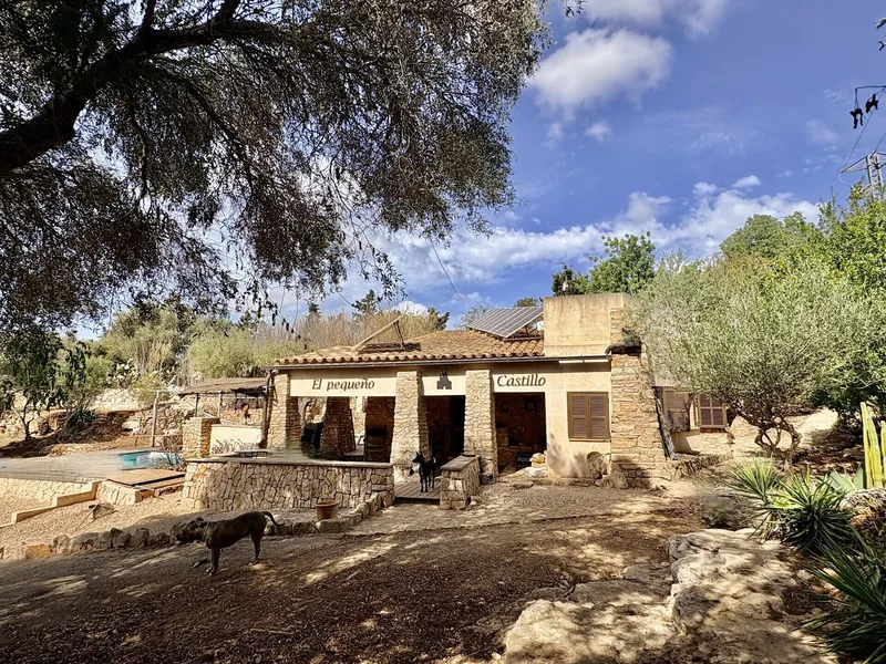 Rustic finca with pool and fountain near Cala Santanyi — photo 4