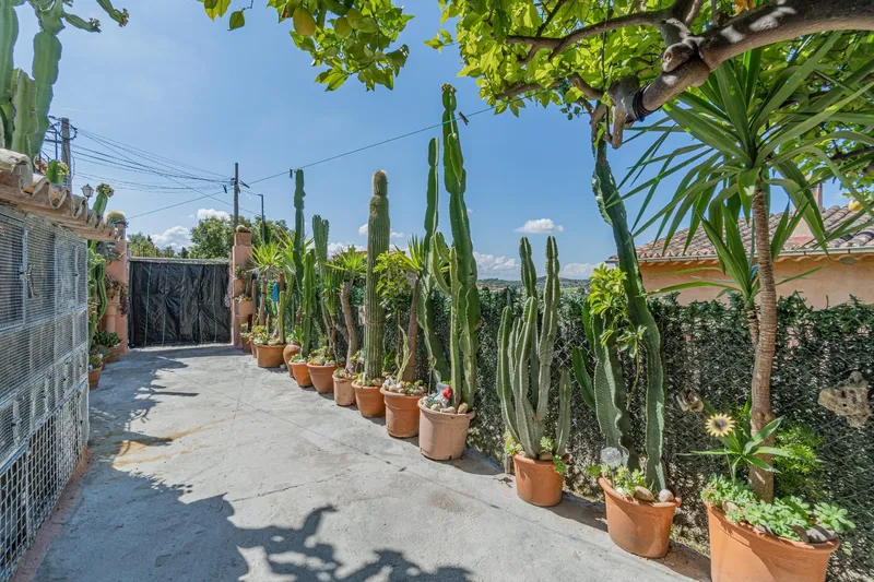 Villa with Tramuntana views — photo 4