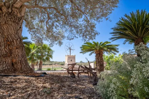 Sa Cabaneta - Portol - Puntiro, Mallorcan stone house on large plot with pool near L'Hostalot — photo 5