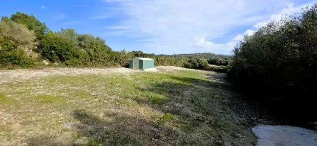 Rustic Land - Manacor (Manacor Centro), Plot Surface 2600m² — photo 1