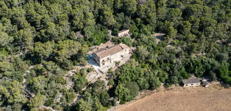 Ca’n Martorellet: 13th-century historic estate with 244 hectares in Pollença — photo 10