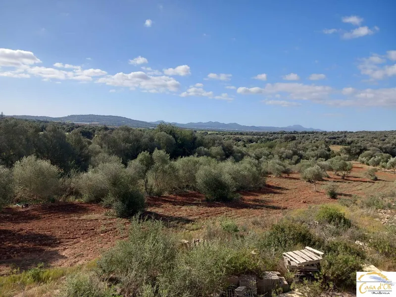 Contemporary Luxury Finca Project with Exceptional Development Potential in Mallorca — photo 10