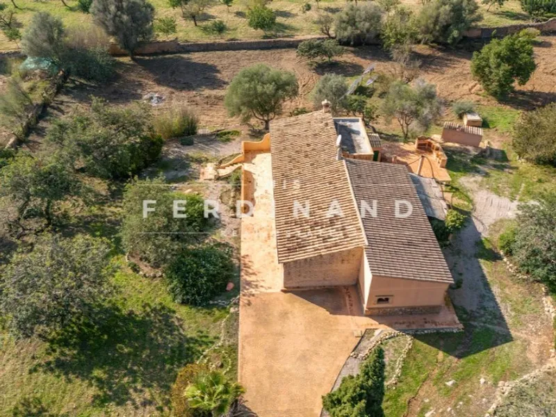 Luxury home in Santa Maria del Camí, Province of Balearic Islands — photo 10