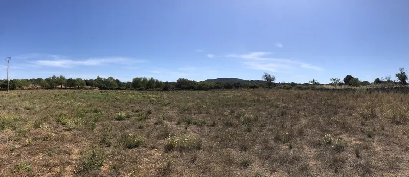 Set of 3 Plots Located 3.5 km from Santanyi in the Direction of Cas Concos — photo 5