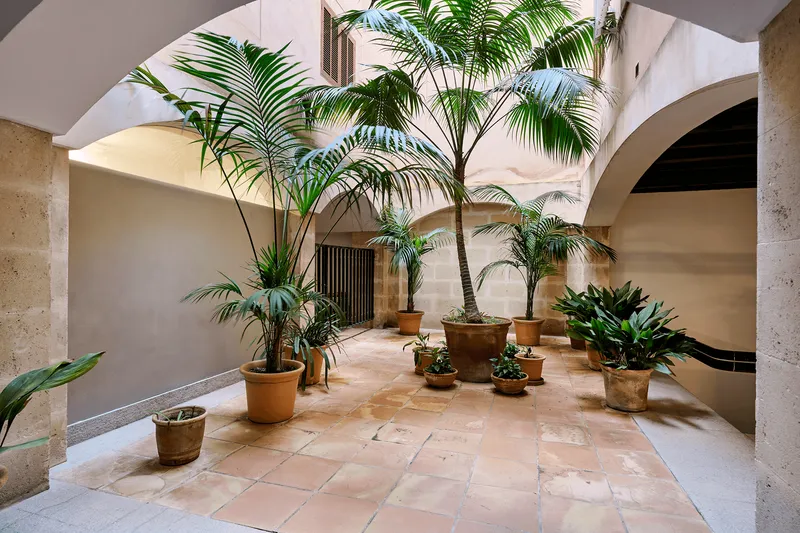 Stylish apartment in the old town of Palma — photo 2