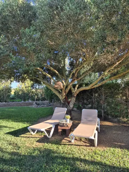 Charming rustic house for rent with garden, terraces and land in the north of Mallorca, available from September 1, 2026 — photo 6