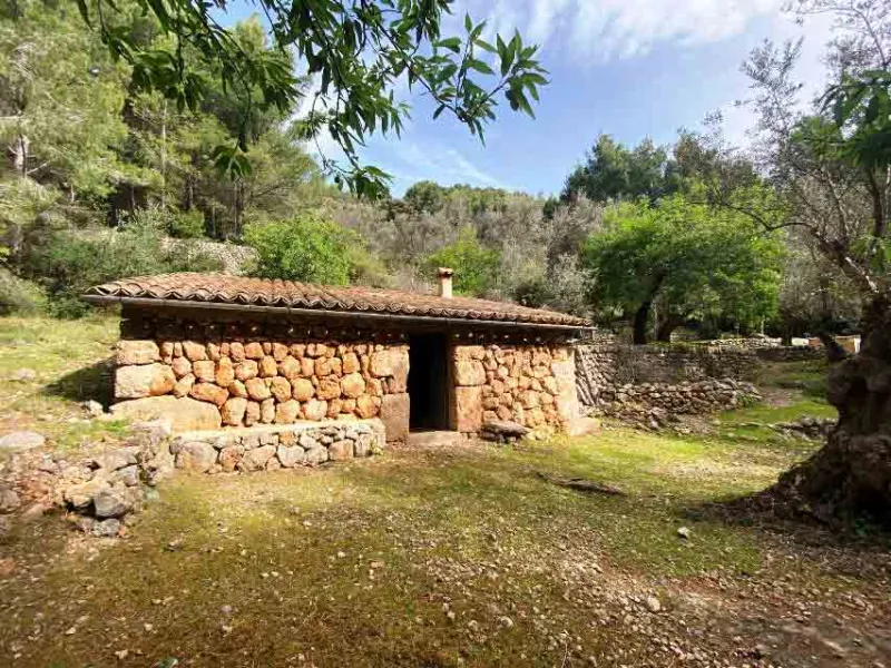 Nice olive grove with porch in Fornalutx — photo 1