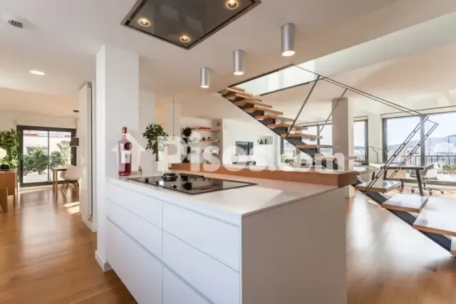 Penthouse in Bons Aires — photo 1