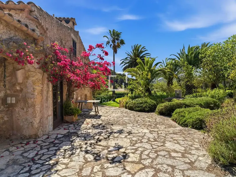 Lucas Fox presents this extraordinary rustic estate in Son Macià, a true Mallorcan gem with a pool, surrounded by nature — photo 4