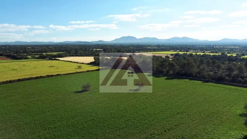 Ländlichles Land zu verkaufen in Campos — photo 8