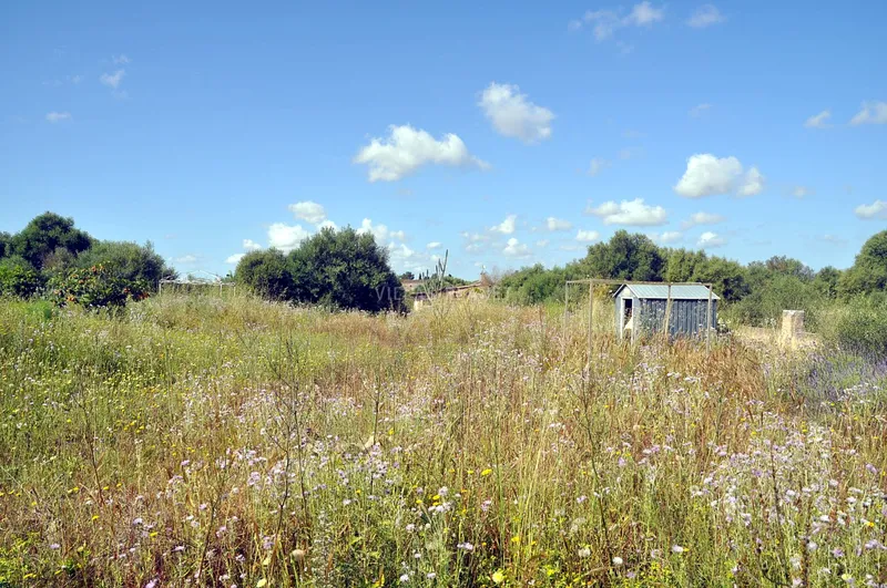 Country plot with project — photo 9