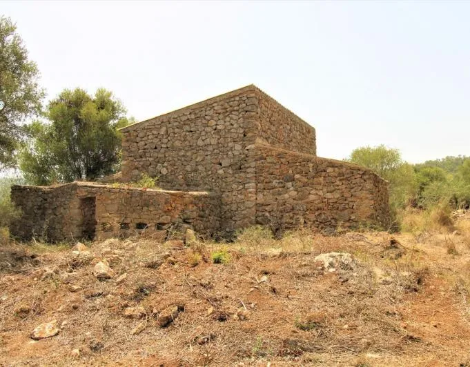Beautiful rustic finca near the village of Arta — photo 4