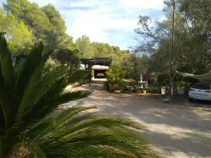 🌿 Finca rústica con casa independiente, piscina y placas solares en Algaida, cerca de Palma — photo 11