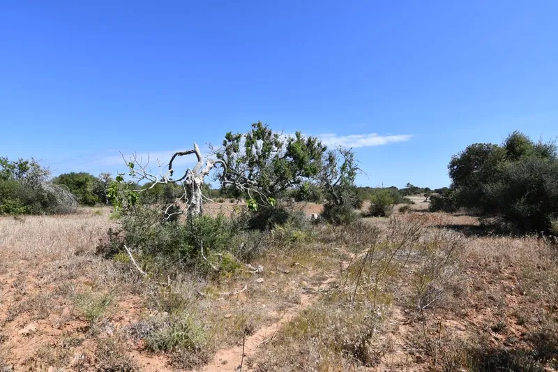 Rustic plot with unobstructed views 5 minutes from Santanyi — photo 2