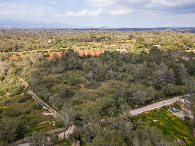 Spacious plot of land for sale in tranquil Algaida, central Mallorca — photo 3