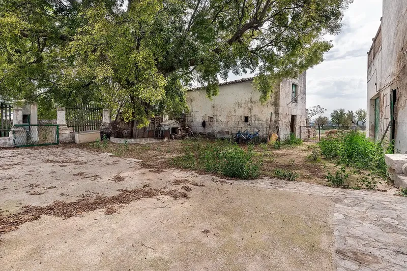 Discover this hidden gem in Campanet: a spectacular rustic estate offering a world of possibilities, with a construction of 1,228 — photo 12