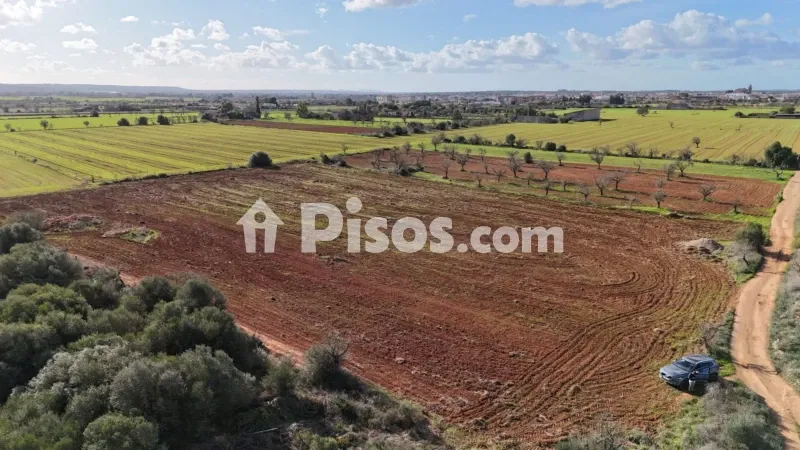 Rustic finca on Es Vinyet street — photo 2