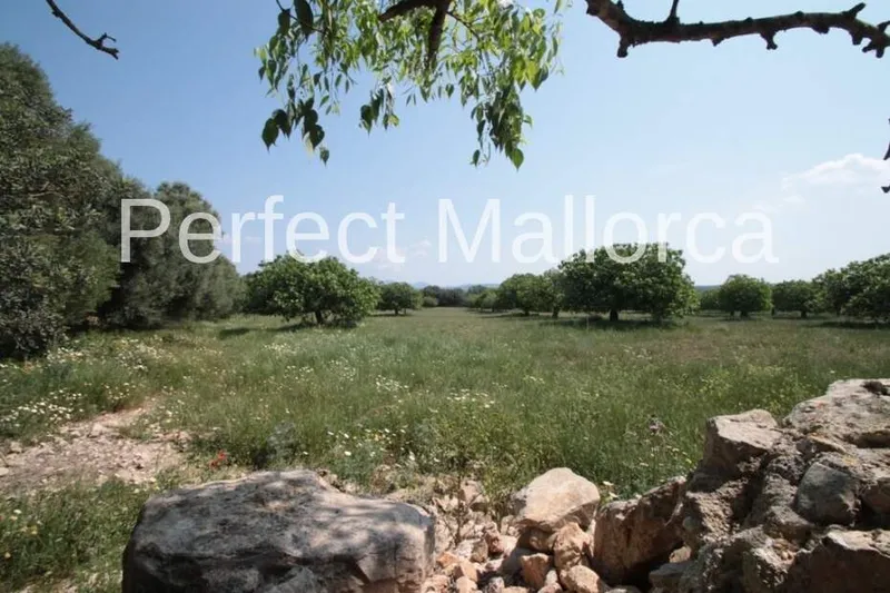 851,360 m² estate with 600 m² living space for sale — photo 11