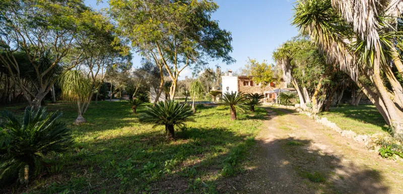 Country house in Sineu with pool and 5,400 m² of land — photo 8